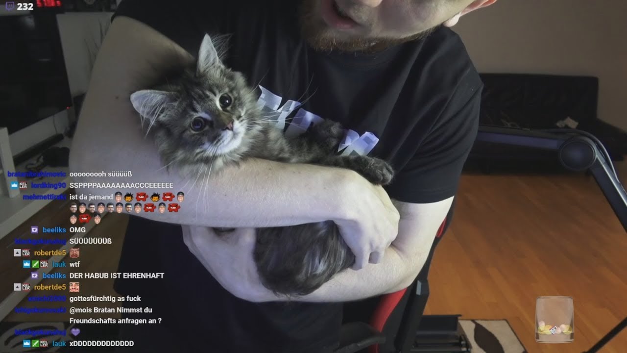 KATZE st&uuml;rmt MOIS Stream & technische Probleme| Mois Stream Highlights