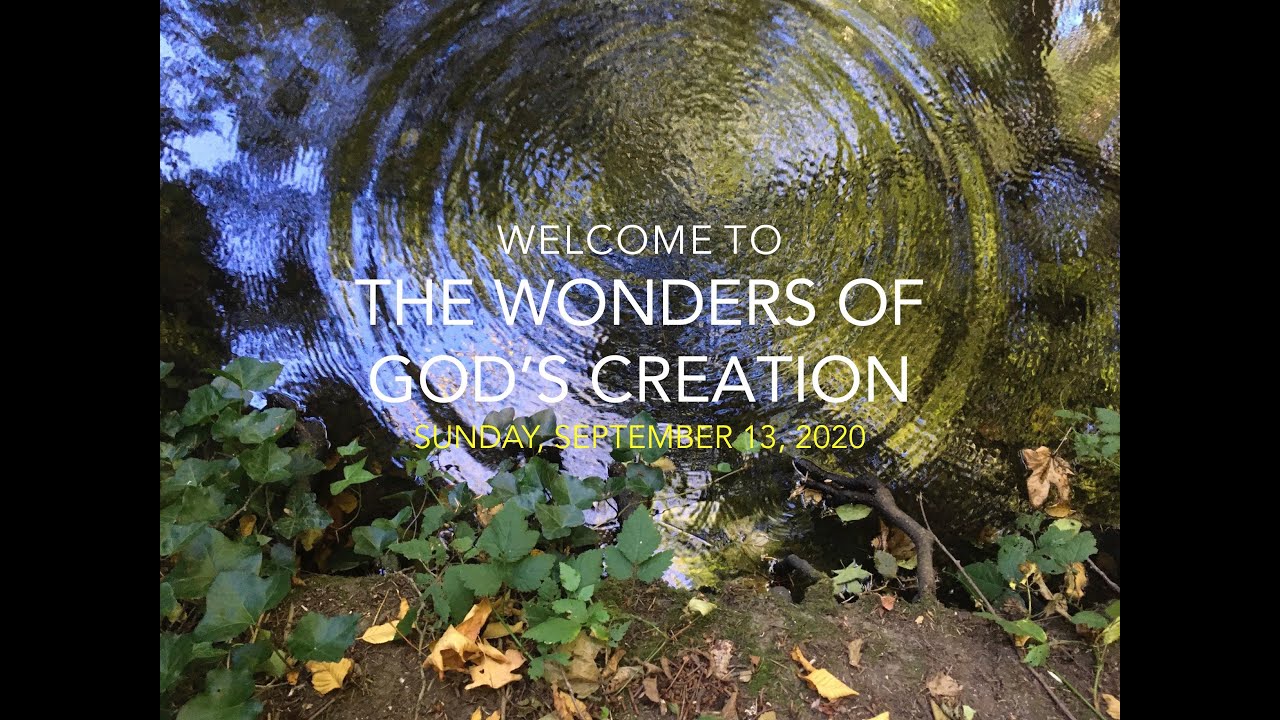 the wonders of God's creation
