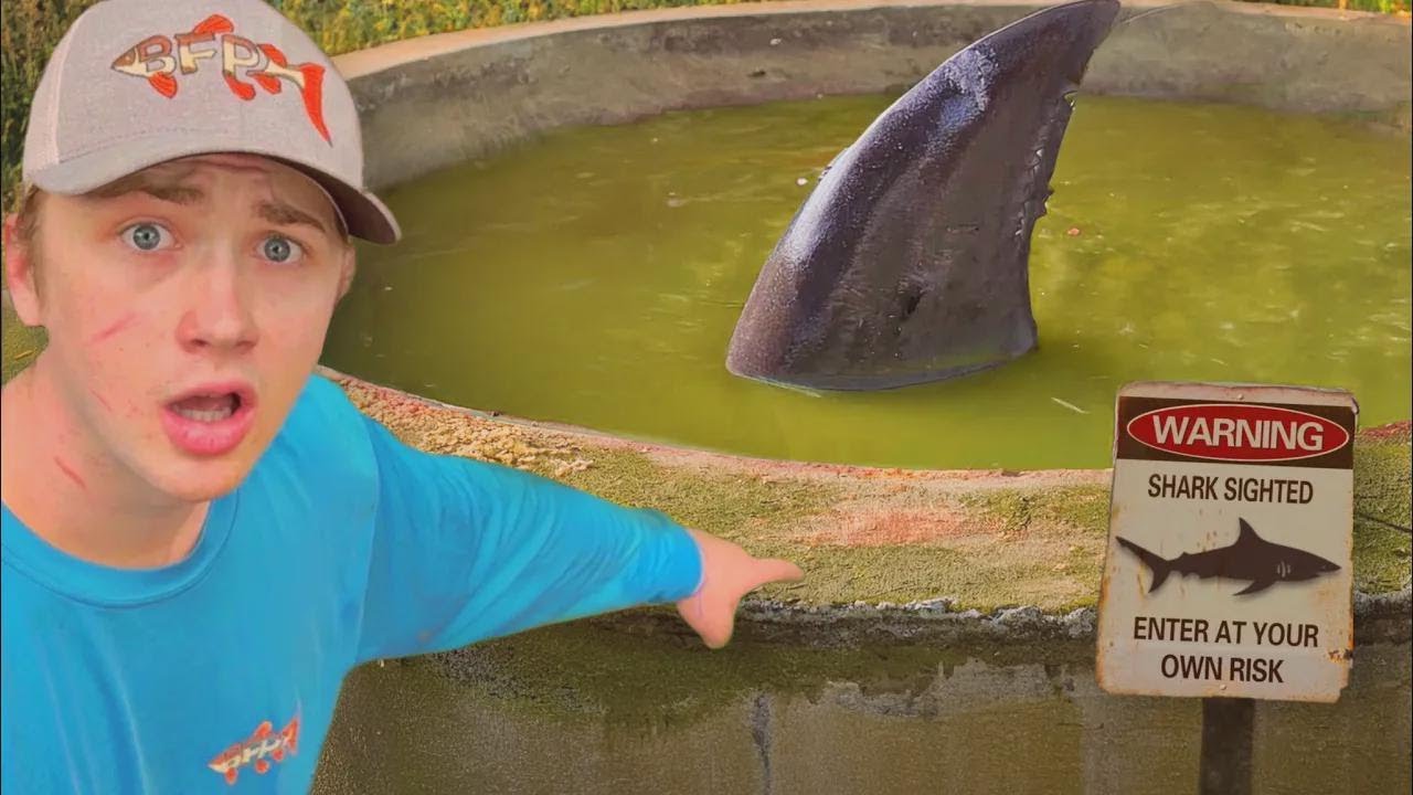 Encontrei um lago abandonado LOTADO de peixes gigantes!