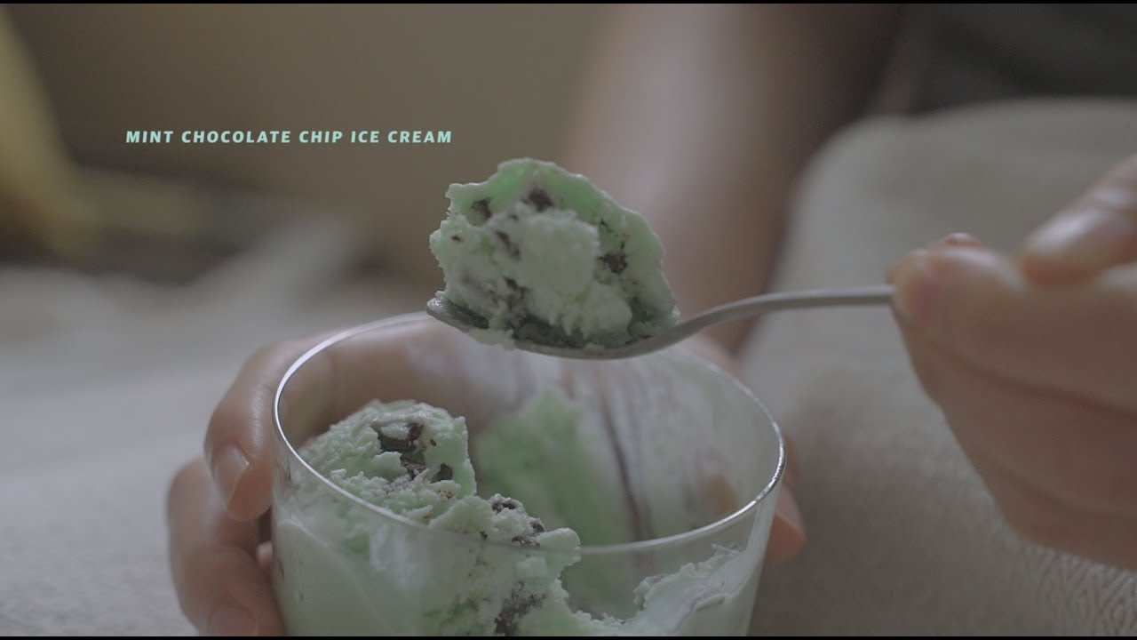 민초파 계신가요? 민트 초코 아이스크림 : Mint Chocolate Chip Ice Cream | Honeykki 꿀키