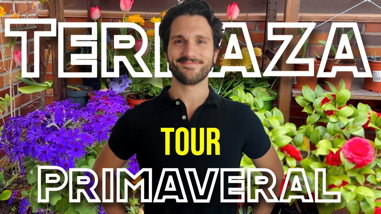 Tour Diseño de Terraza Primaveral 🌼🌷🌸