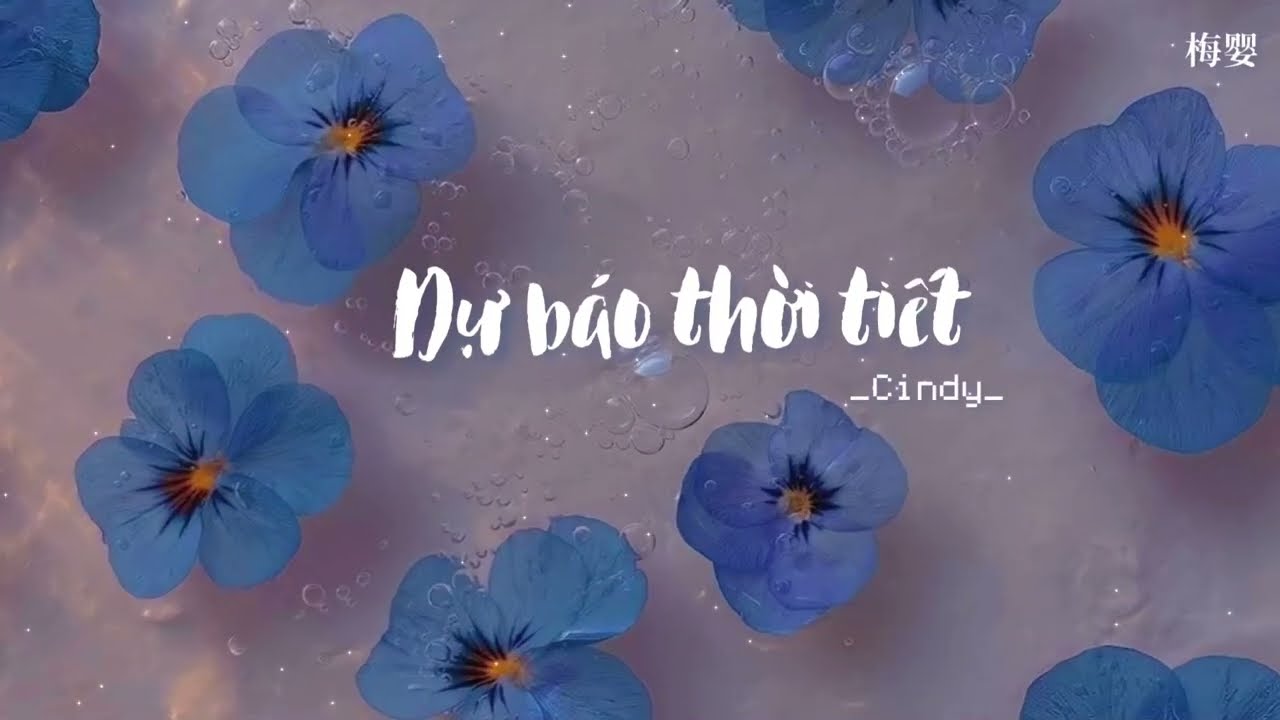 [Vietsub+Pinyin] Dự báo thời tiết - Cindy Đại Bàn Đào Tử |《天气预报》- Cindy 大蟠桃子 | 𝑹𝒂𝒊𝒏𝒚 ~ 𝑺𝒖𝒏𝒏𝒚 𝑫𝒂𝒚 🌦️