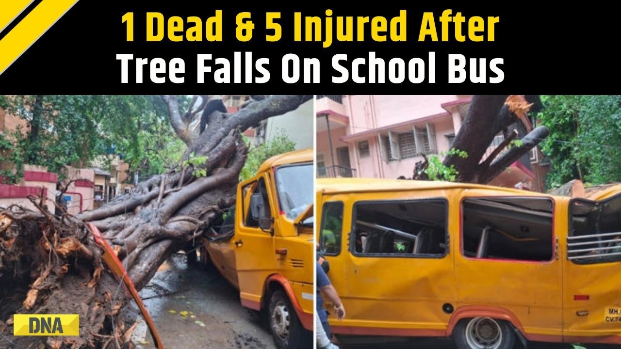 Mumbai Rains: 11-Year-Old Student Dies After Tree Falls On School Bus, 5 Injured
