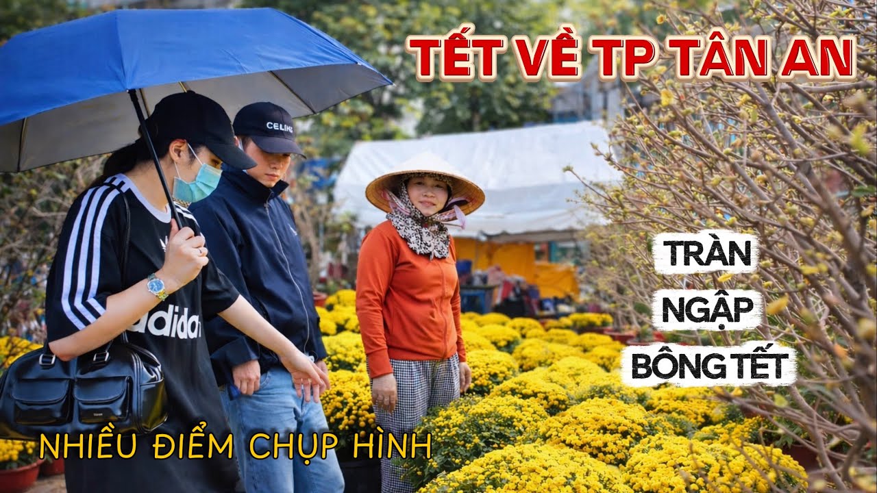 Giáp Tết Ở TP Tân An | Công Viên Ngập Tràn Bông Tết , Nhiều Điểm Chụp Hình Quá Đẹp.