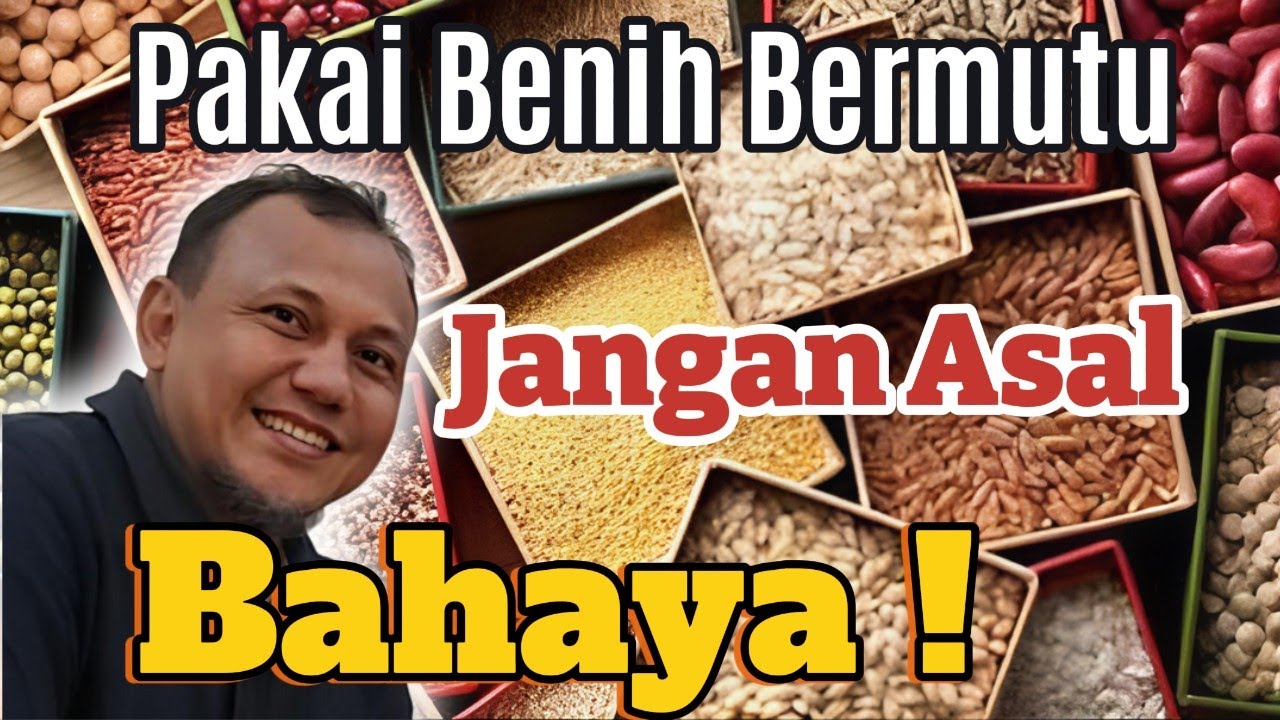Sukses Usaha Tani Dengan Penggunaan Benih Berkualitas