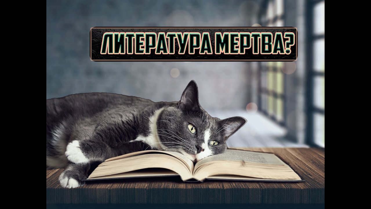 В поисках литературы в поп-культуре || Шаг 1. Зачем нужна литература?