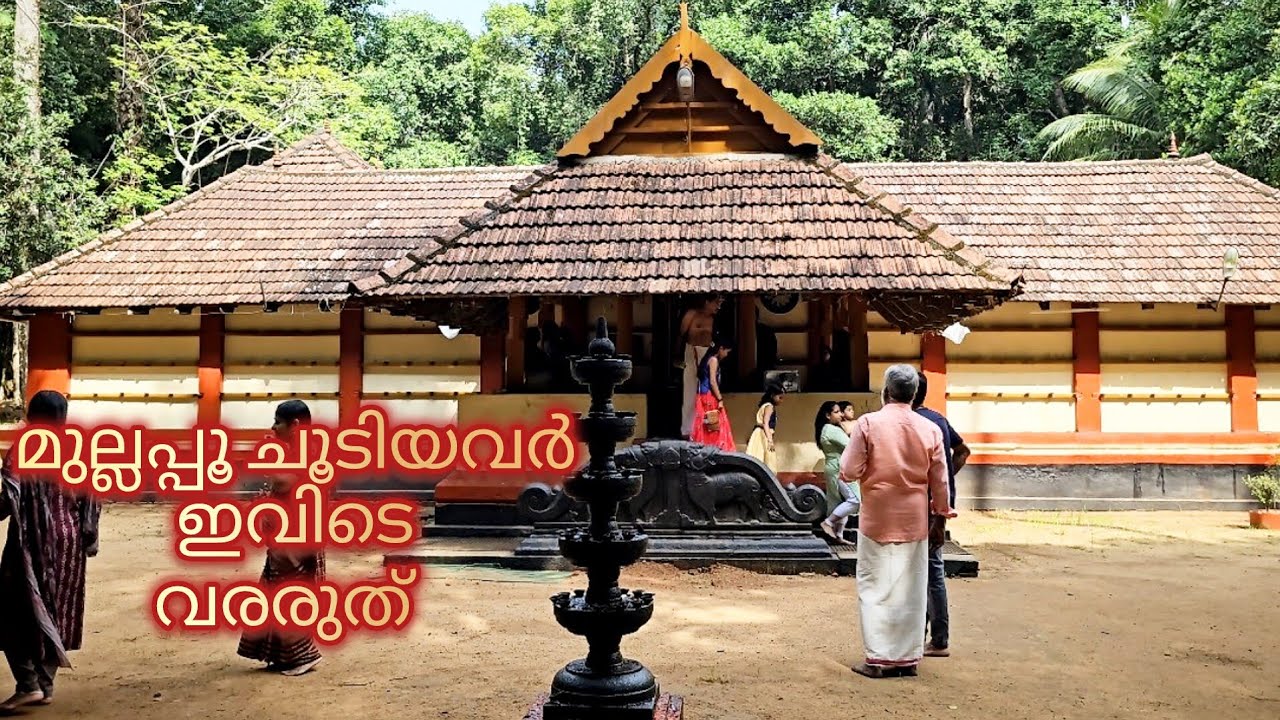 ഇരിങ്ങോൾകാവ് | Iringolkavu | largest grove in kerala | kerala mysterious temple | perumbavoor kerala