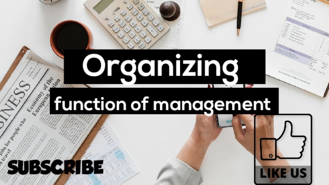 ORGANISING: FUNCTION OF MANAGEMENT: Chapter 12 - Strategies for Success | backbenchers academy