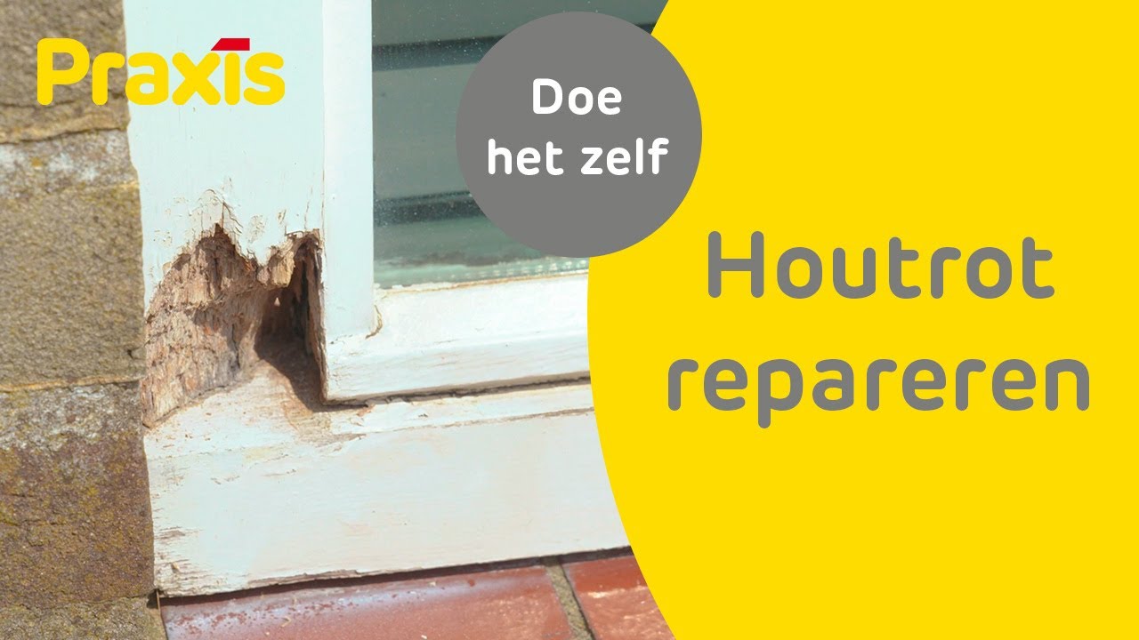 Houtrot repareren - dat doe je zo | Praxis