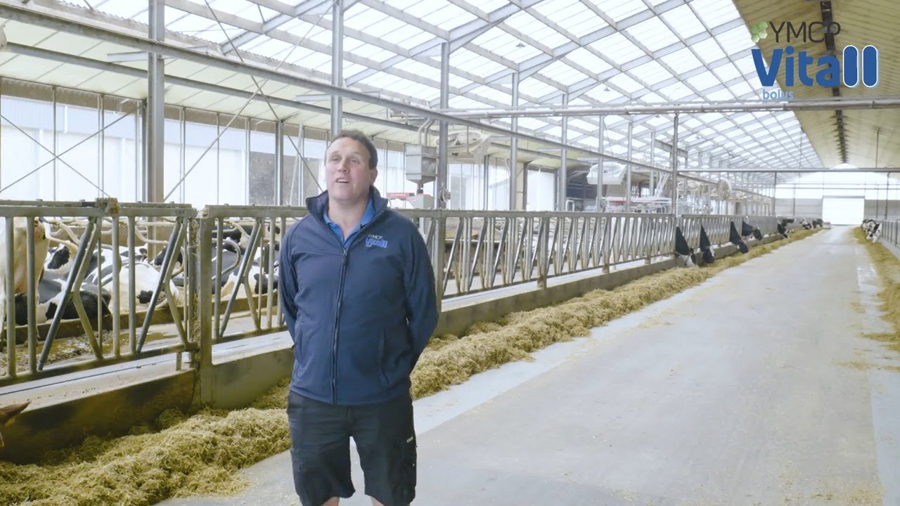 Dries Lahousse van het Zomerbloemhof over YMCP Vitall