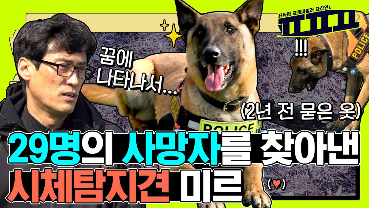 🚨실제 상황🚨 2년 전 산속에 암매장된 시체 냄새 흔적을 찾으러 출동! 국내 원톱 시체탐지 경찰견 미르!  | ㅍㅍㅍ 표독한 프로파일러 표창원 - Profiler P