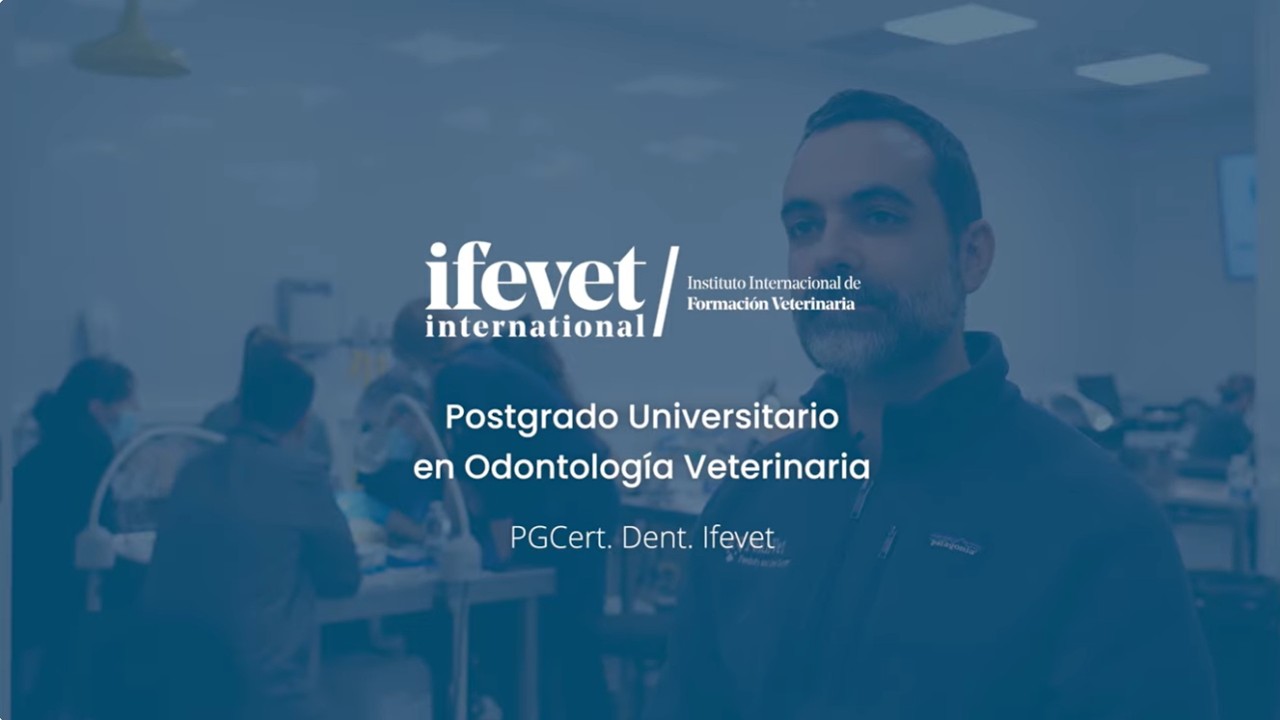 Postgrado Odontología | Entrevista director - Ignacio Velázquez
