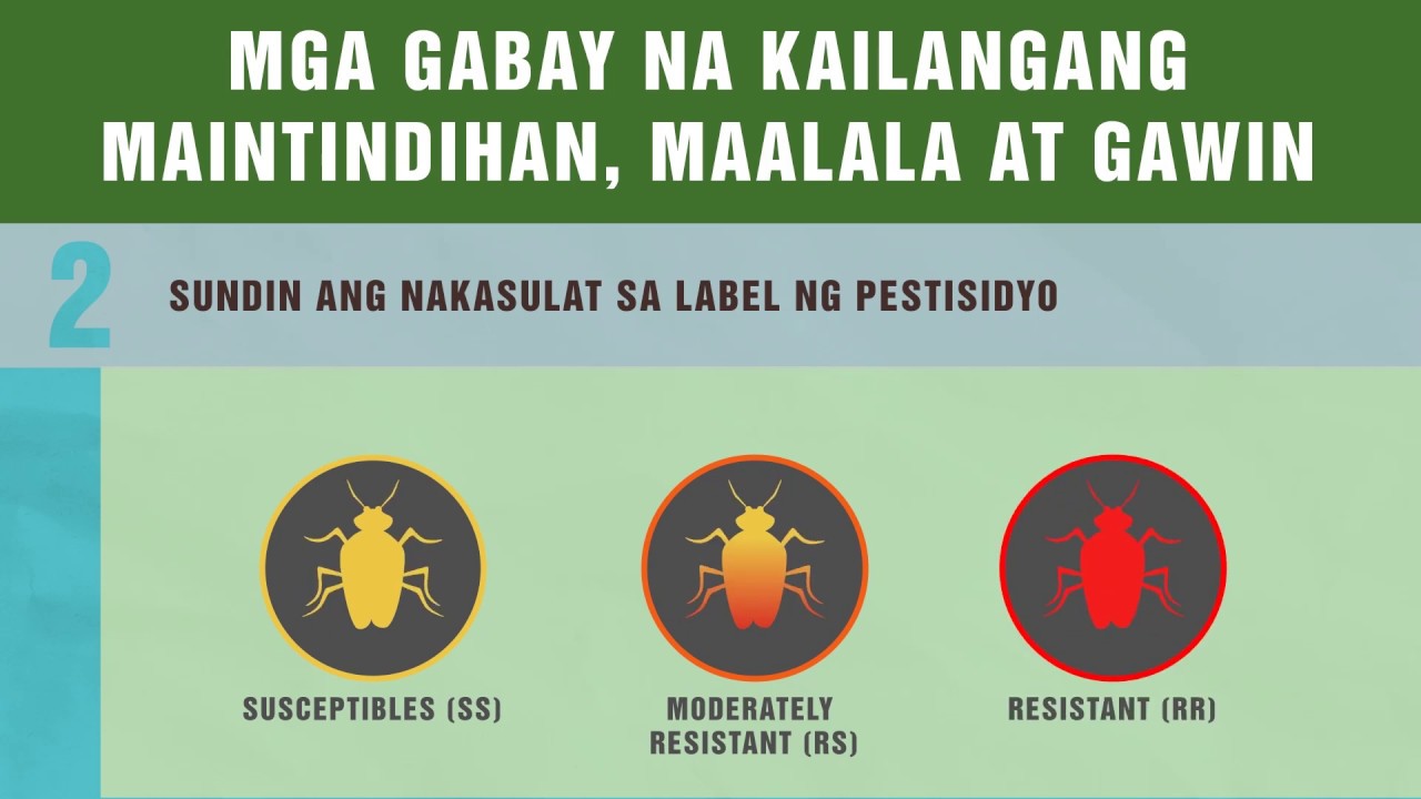 [Tutorial] Insecticide Resistance Management Explainer