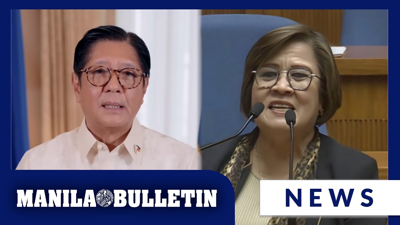 'Substandard na paputok?': De Lima says Marcos must deliver on anti-corruption drive