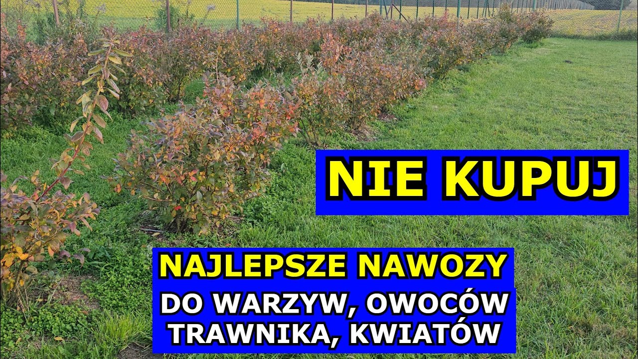 Nie Kupuj wielu Nawoz&oacute;w. Najlepsze Nawozy pod Warzywa, Trawnik, Drzewa owocowe, Hortensje, Pomidory.