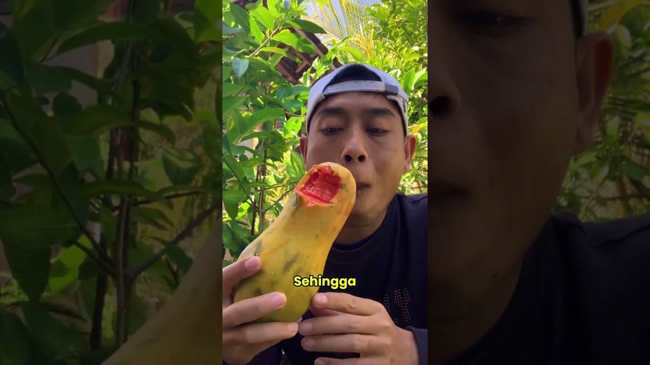 CARA DIET YANG BAIK SAAT KONSUMSI BUAH PEPAYA 