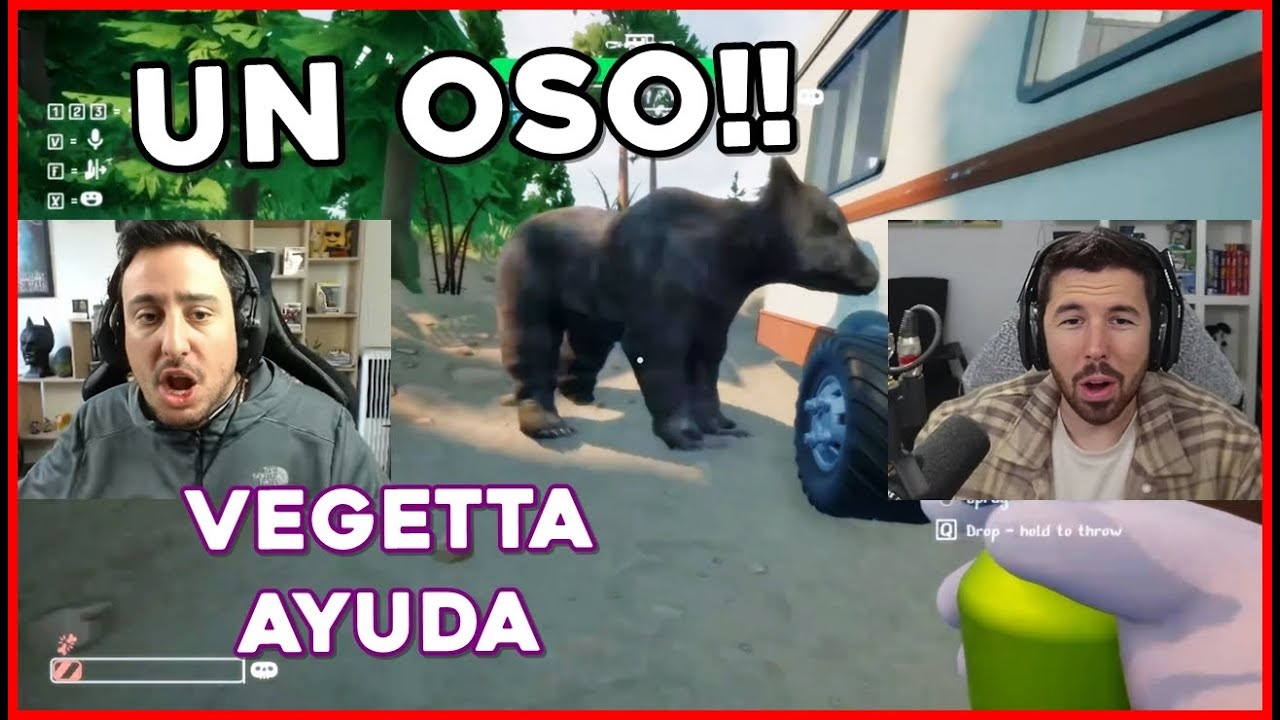 VEGETTA se enfrenta a un OSO, WILLY y FARGAN OBSERVAN 😂