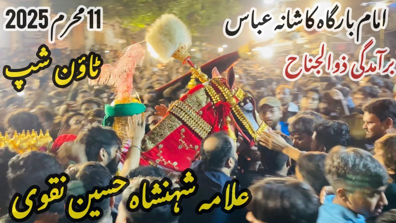 11 Muharram 2025 | Baramdagi Zuljanah Kashana Abbas | Township 5-B1 | Allama Shehansha Hussain Naqvi