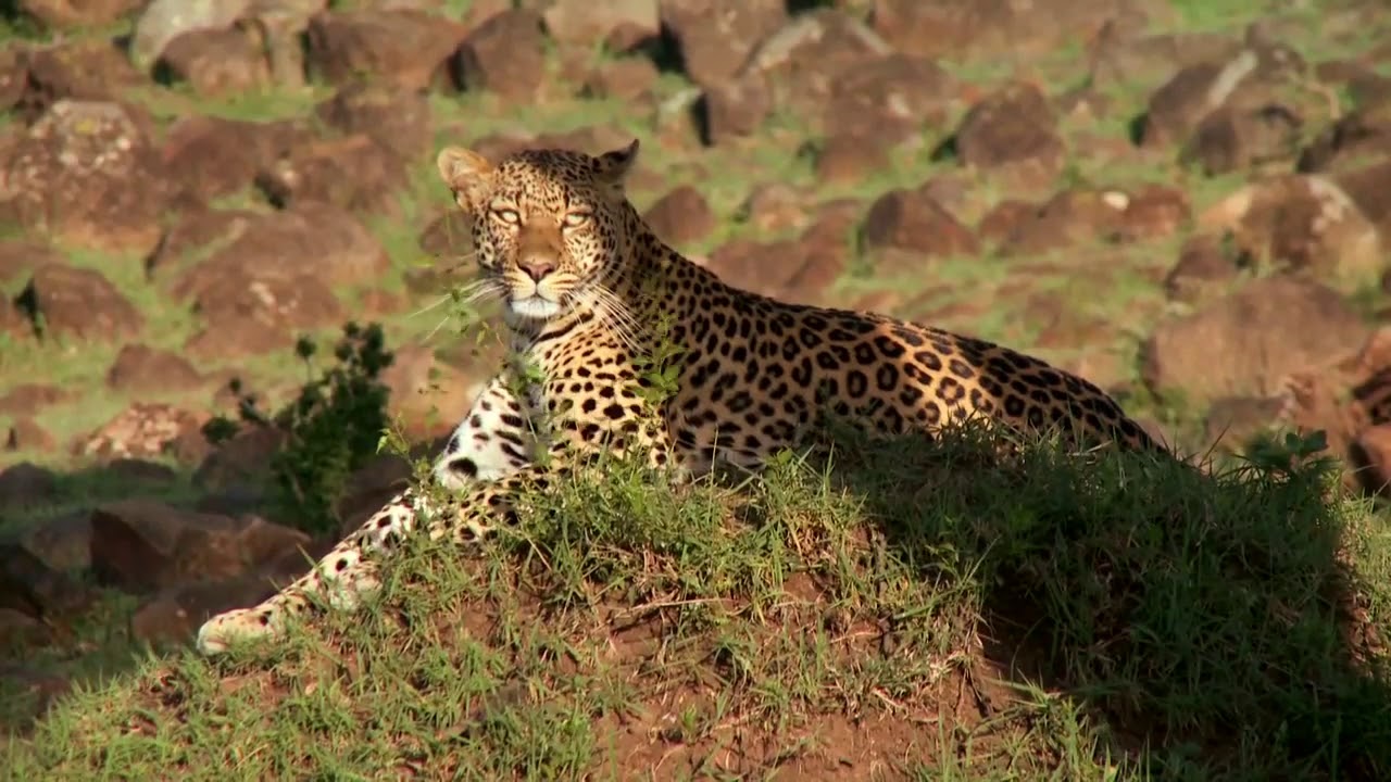 Karen Blixen Camp, Masai Mara