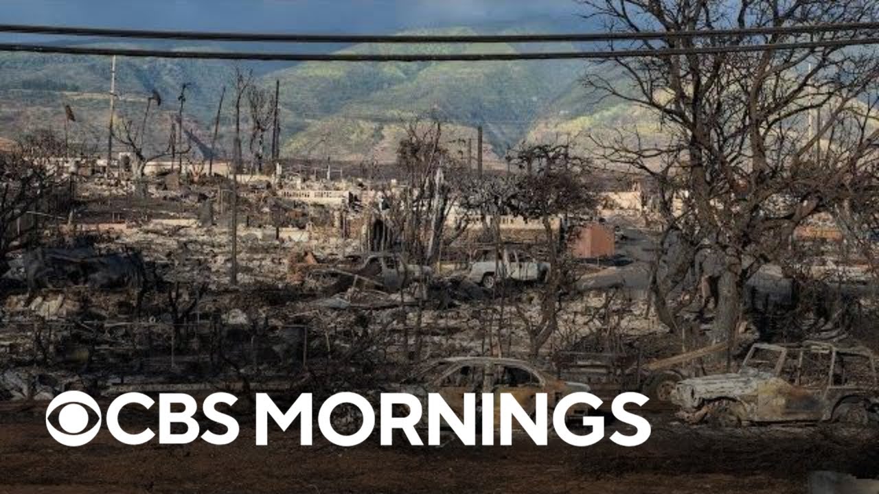 Maui fires: Latest from Lahaina survivors, Hawaii governor, Mick Fleetwood and more