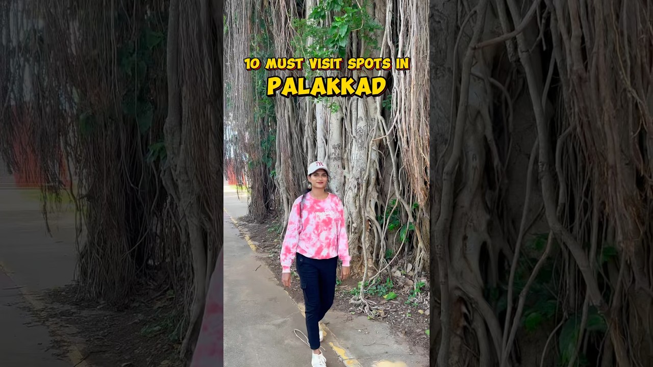 10 Spots to visit in Palakkad #palakkaddiaries #palakkadtourism #palakadu #palakkad #tranding