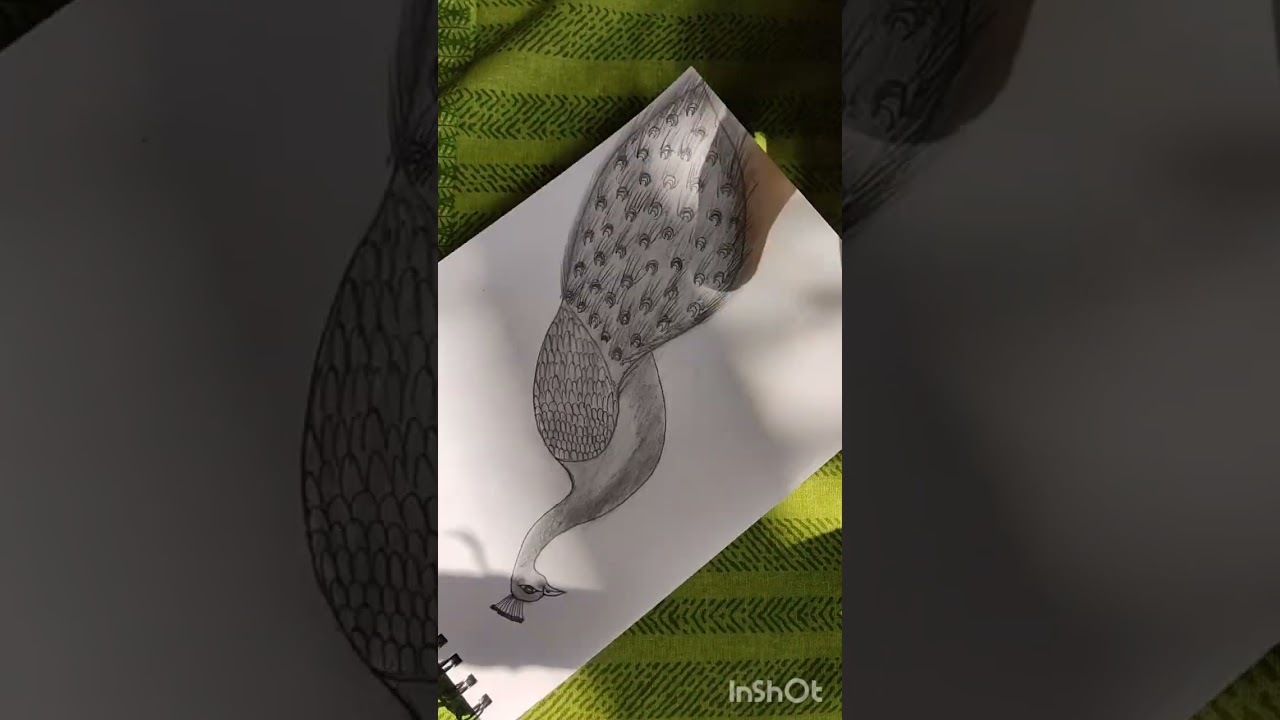 #drawing #art # peacock #drawingtutorial #easydrawing