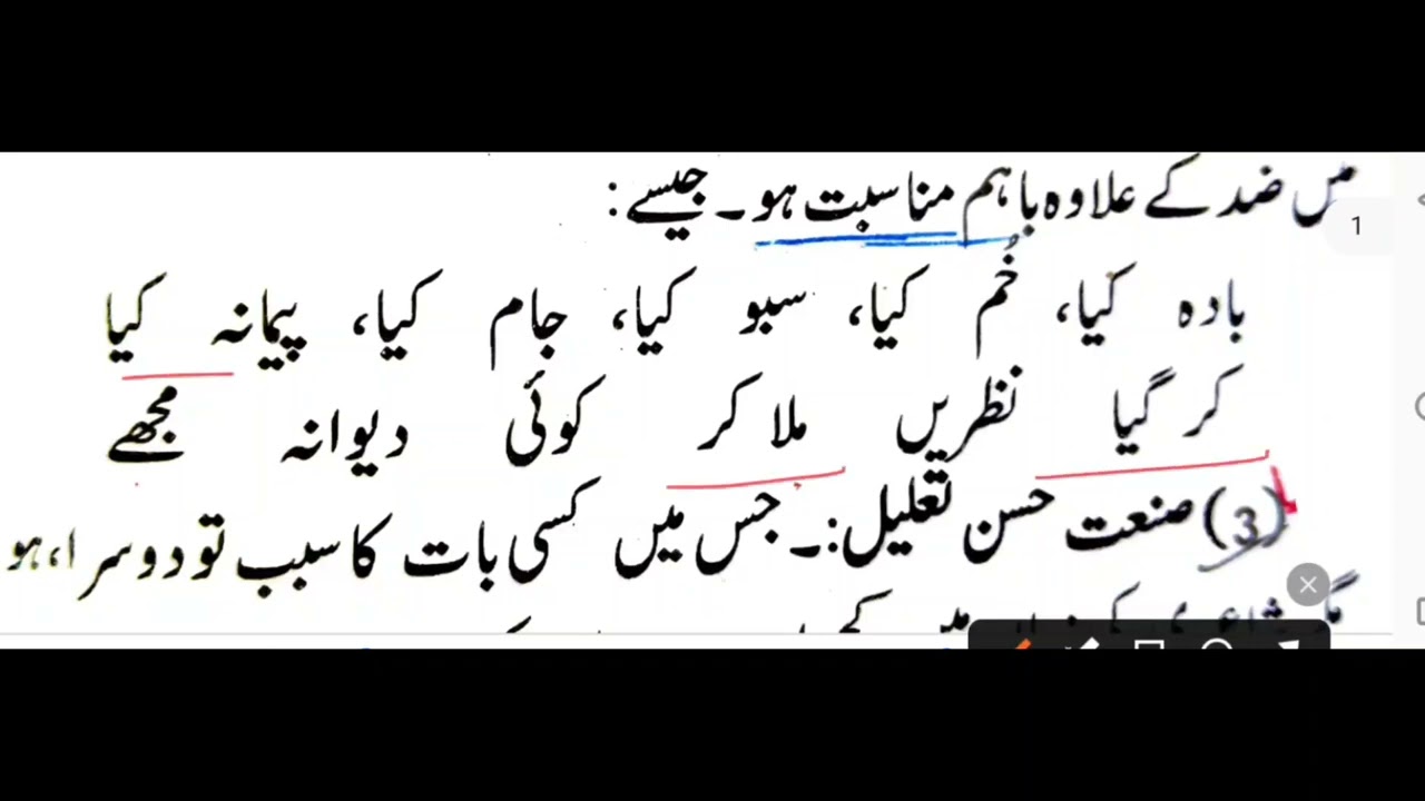 Urdu Grammar one shot l Urdu Grammar All Topic in One Video l Complete Urdu Grammar l Urdu Qawaid 