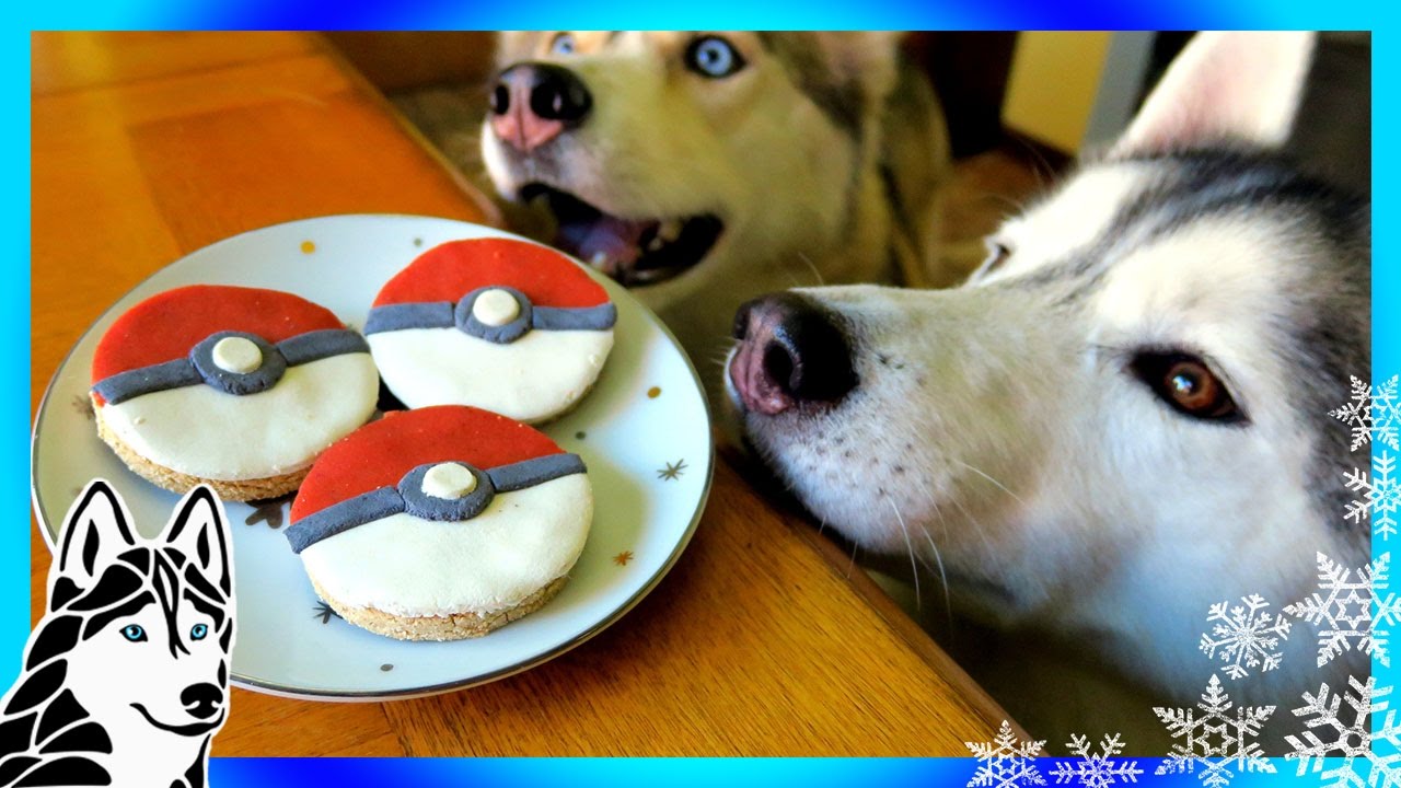 DIY POKEBALL DOG TREATS | Snow Dogs Snacks 59 | DIY Dog Treats