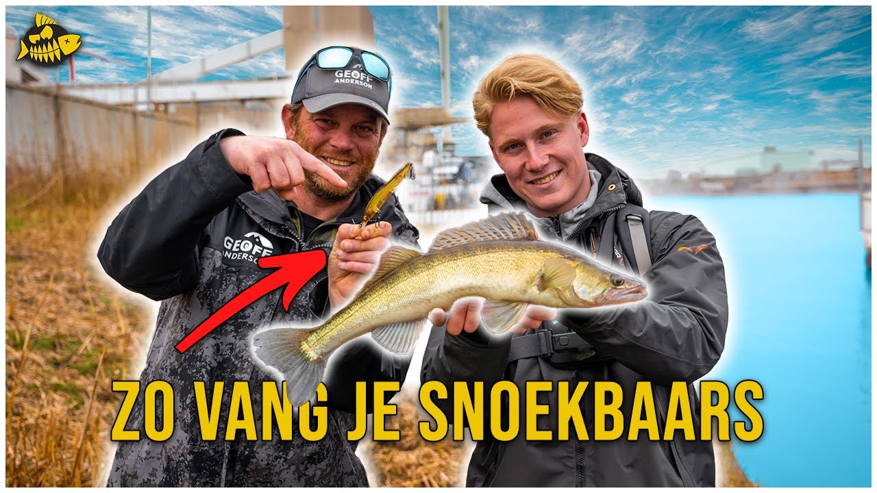 SNOEKBAARS VANAF DE KANT OP HET TWENTEKANAAL - Met twitchbaits, shads & tubes