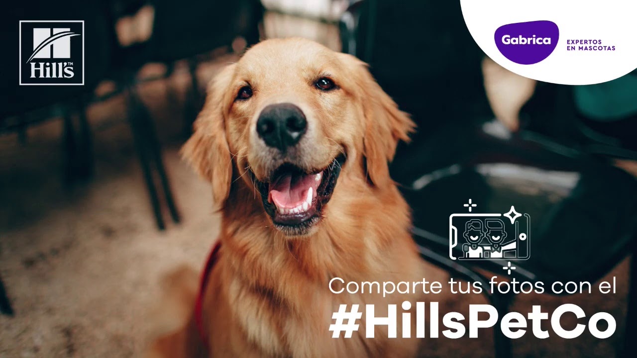 🔴 Conferencia Hills 
