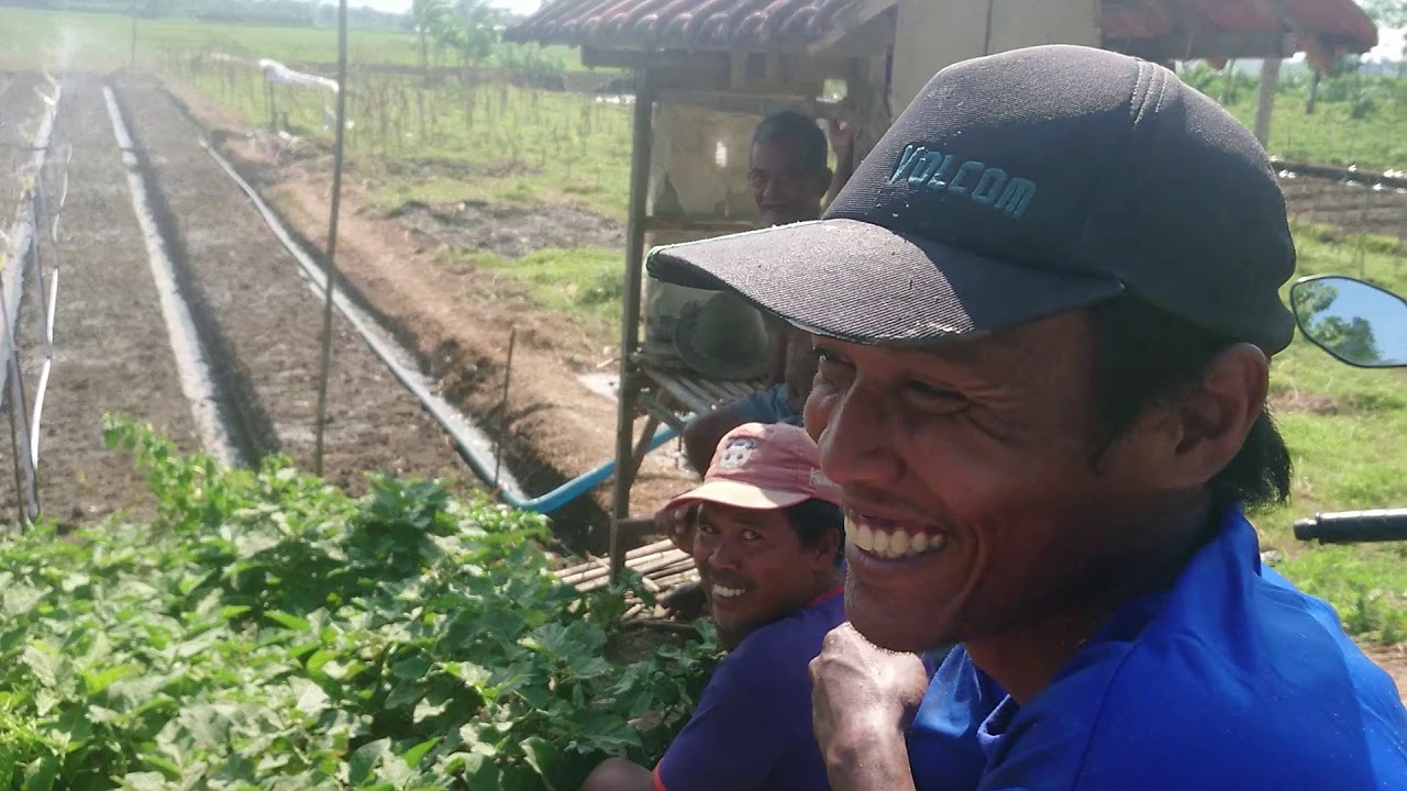 Dengan alat ini memperingan pekerjaan petani, sprinkler