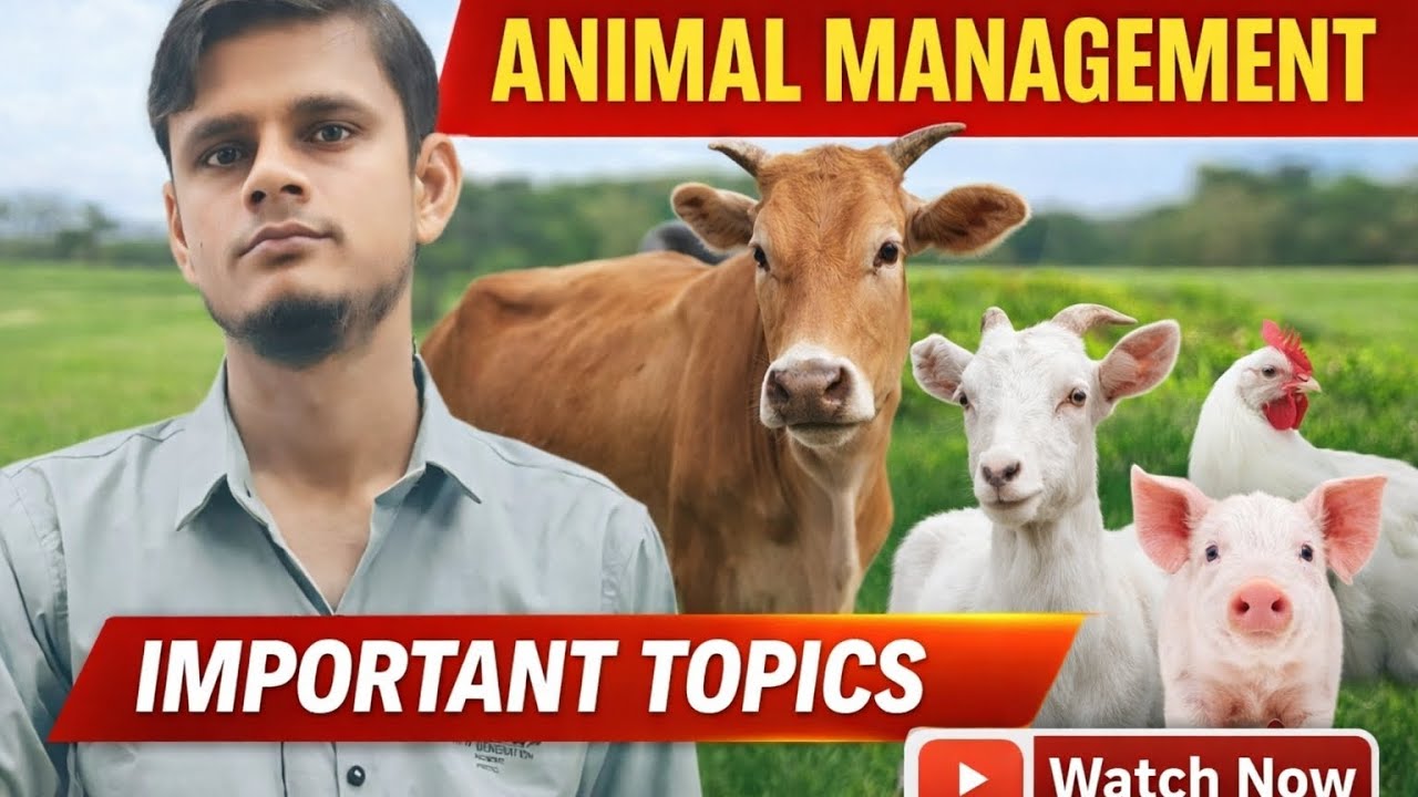 Important topic of animal management 