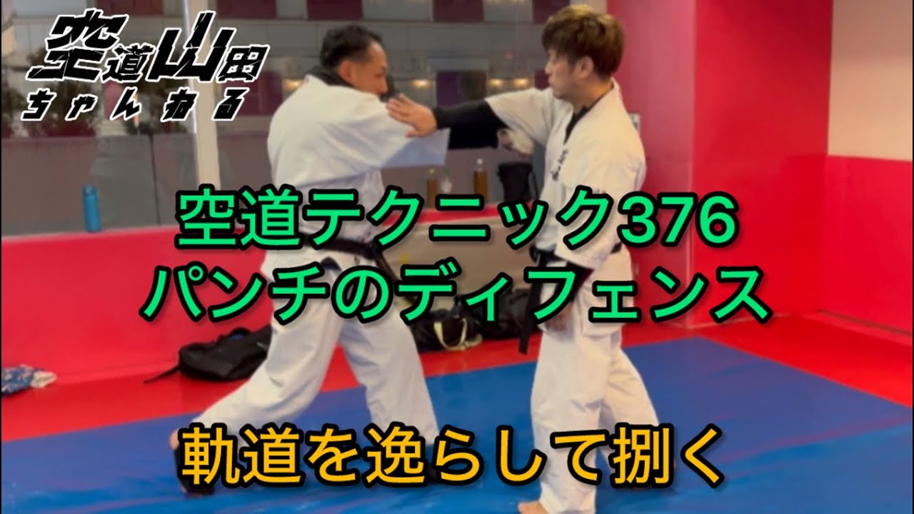 【武道】空道テクニック376「パンチのディフェンス」【格闘技】