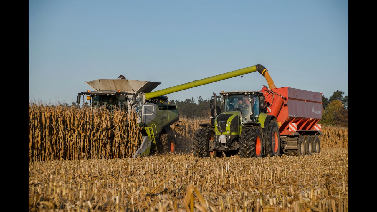Corn Harvest 2022 Claas Lexion 780 & Claas Axion 960 + Annaburger HTS 33.79 Rhea Holding