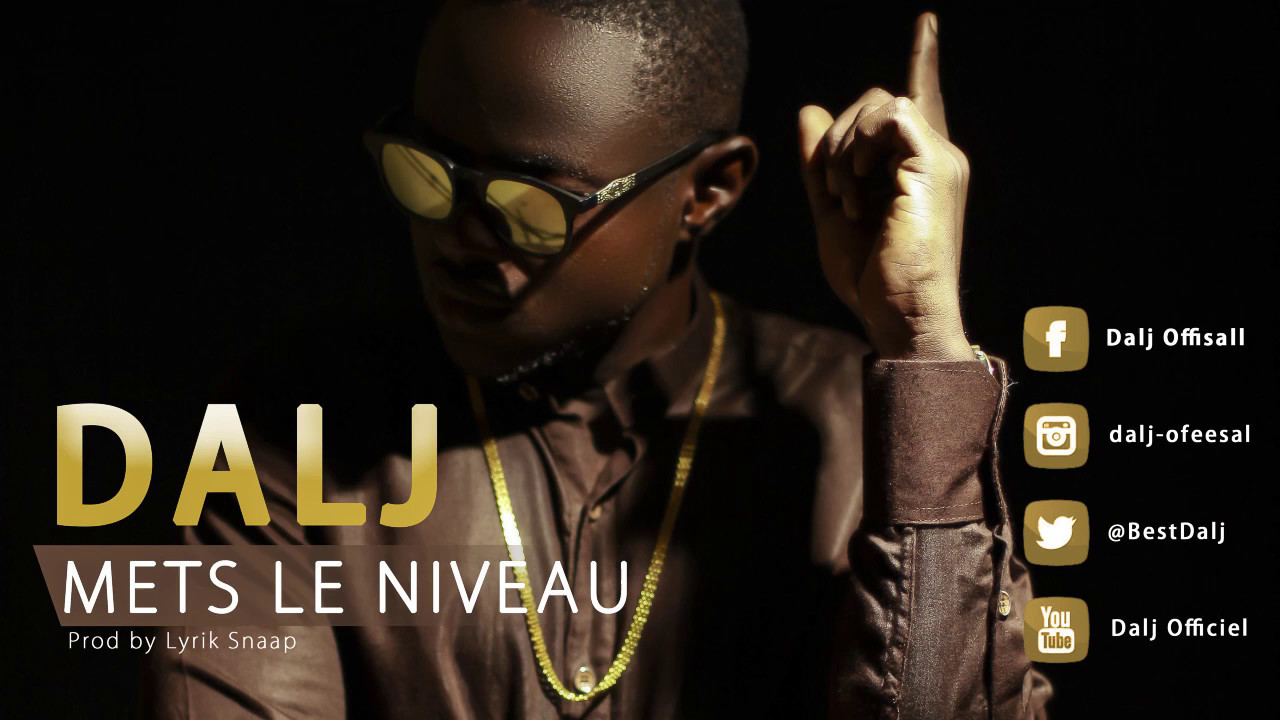 Dalj _ Mets le Niveau #MLV (Audio)