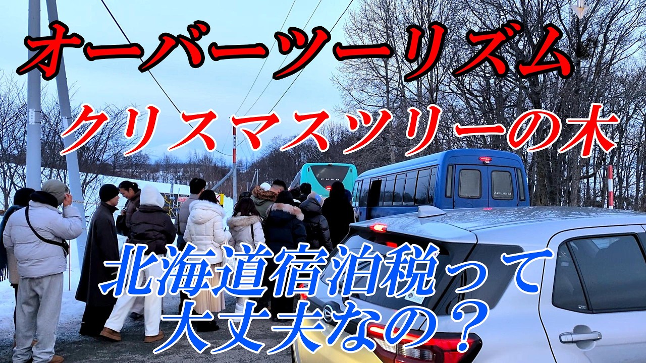 【北海道 美瑛】クリスマスツリーの木とオーバーツーリズムそして北海道宿泊税　４Ｋ