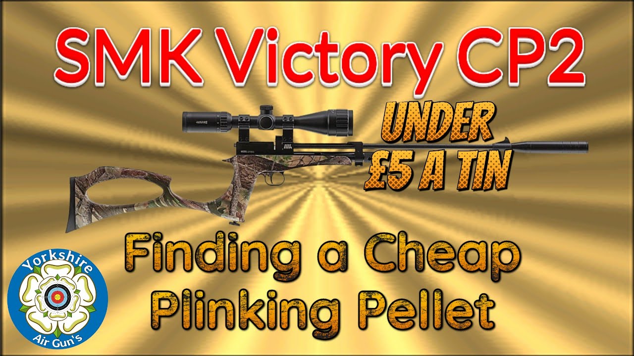 SMK CP2 Need a Cheap Plinking Pellet #airrifleshooting #subscribe  #airgun #victorycp2 #viralvideo 