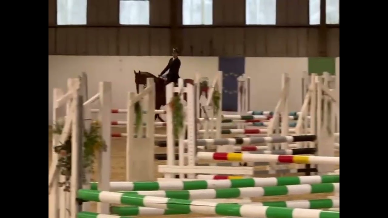  FS MAYDAY DUCHESS (“Darcy”) - 4yo Mare - V2
