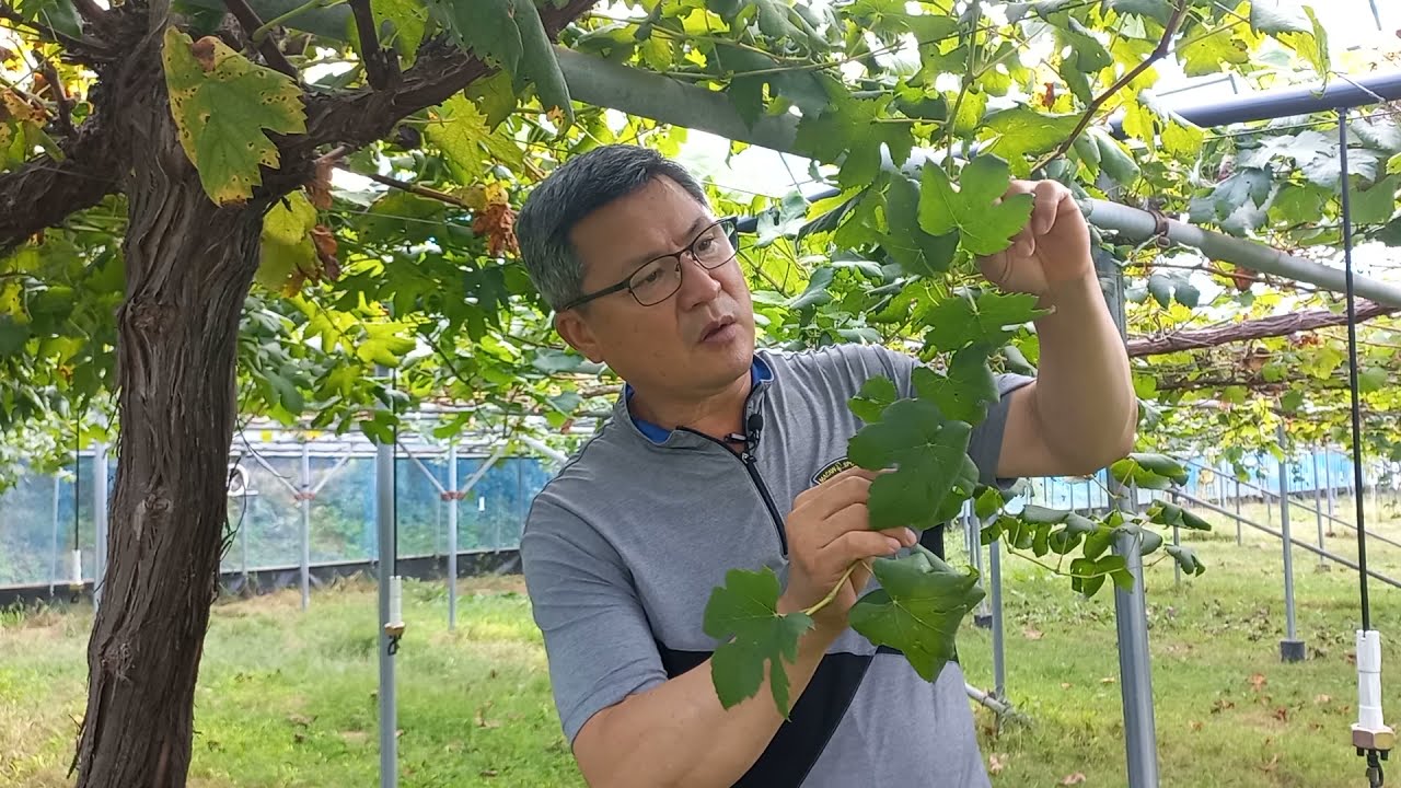 식물의 기초생리 