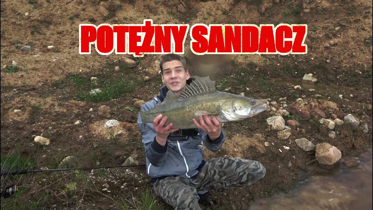 WIELKI SANDACZ NA ŻWIROWNI !!!