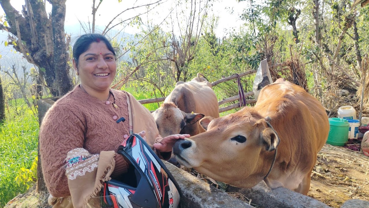 आज की मुलाकात गौ माता के साथ
