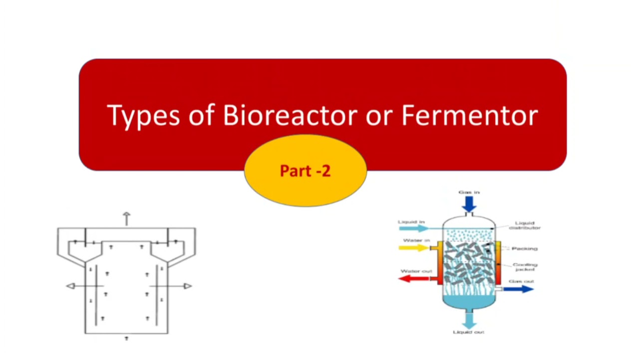 Types of Bioreactor or Fermentor part 2 | | hindi | @Microb Talk  | Fluidized bed  | packed bed |