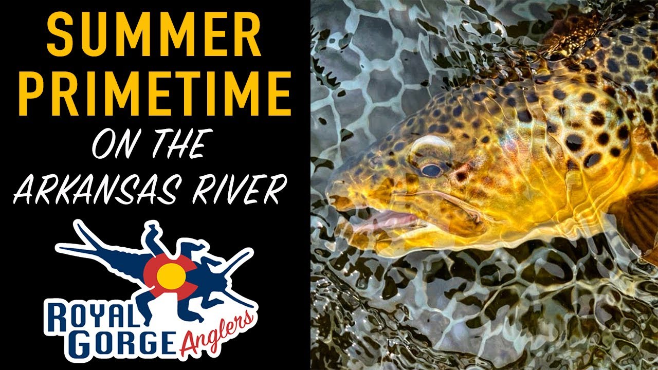 Summer Primetime on the Arkansas River