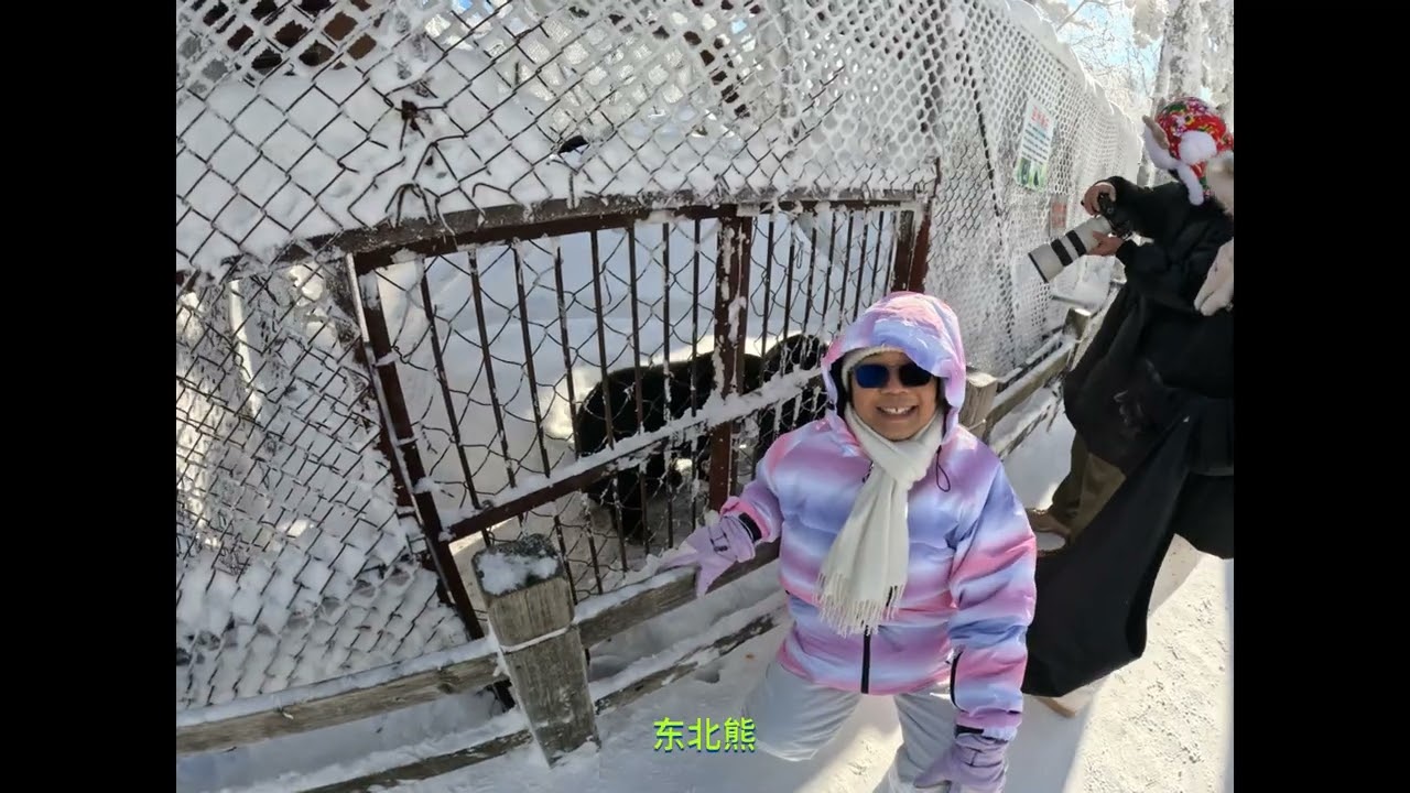 Harbin + Mohe 2024