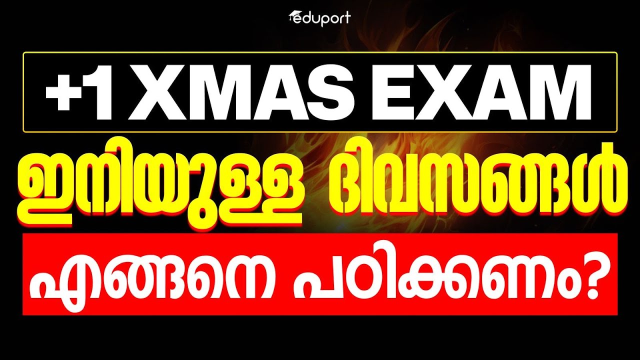 Plus One Christmas Exam Study Plan | Eduport Plus One
