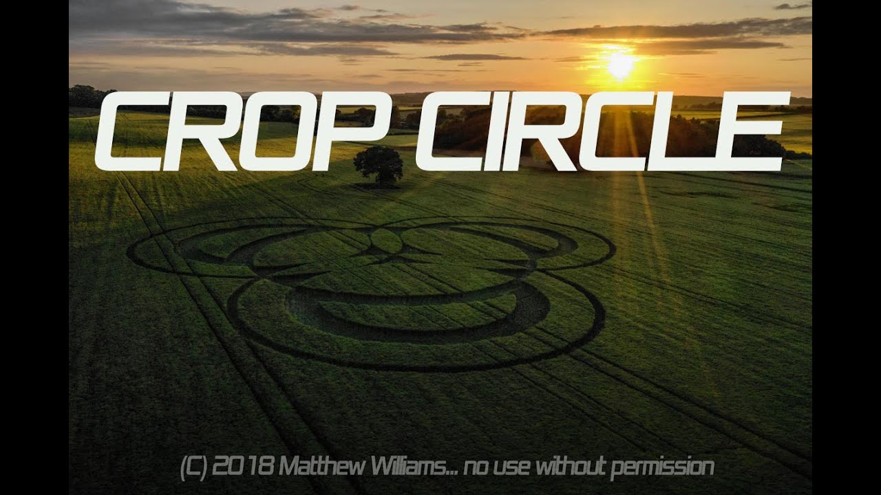 LONG WOOD cropcircle 3.6.2019  SUPERLONG EDIT 4k
