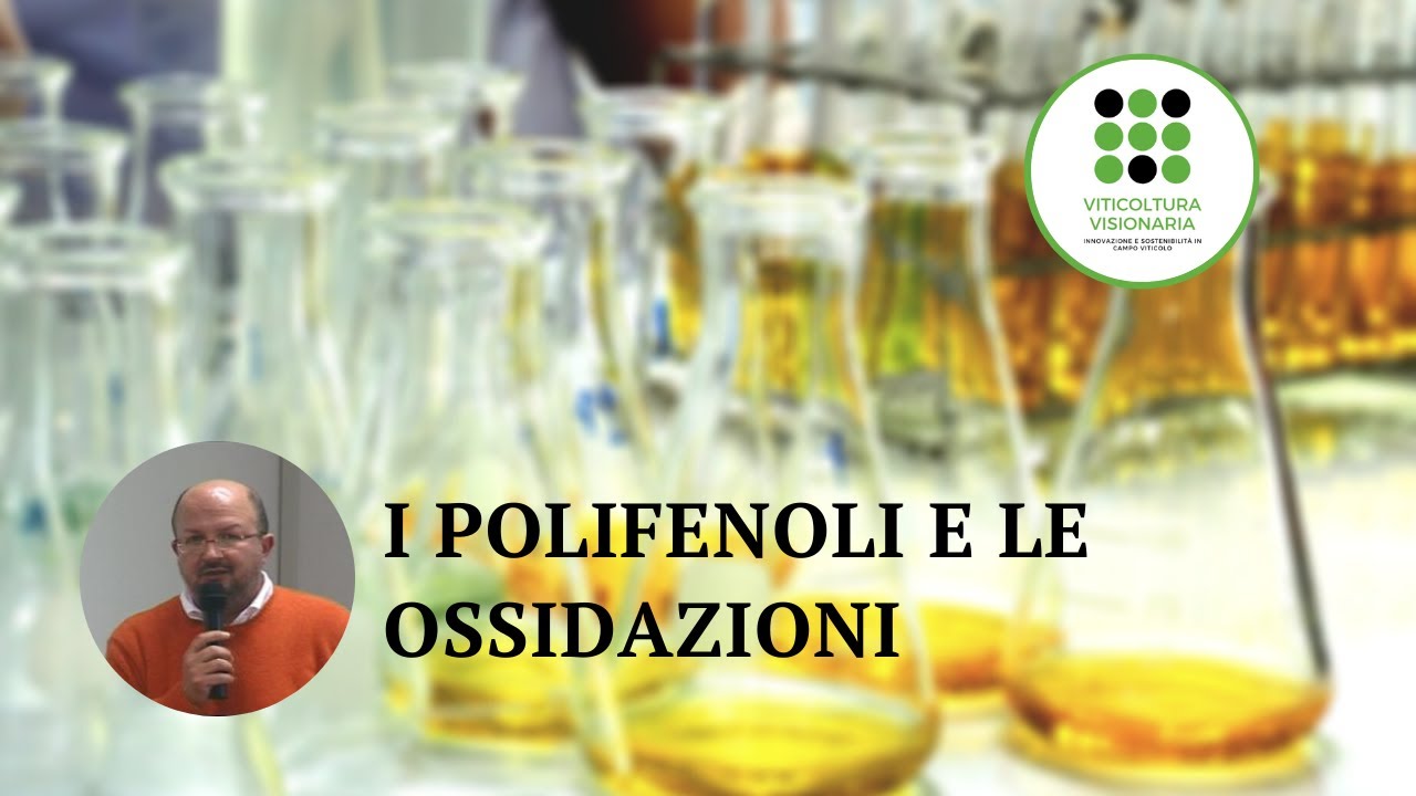 Il ruolo dei polifenoli nell'ossidazione dei vini bianchi