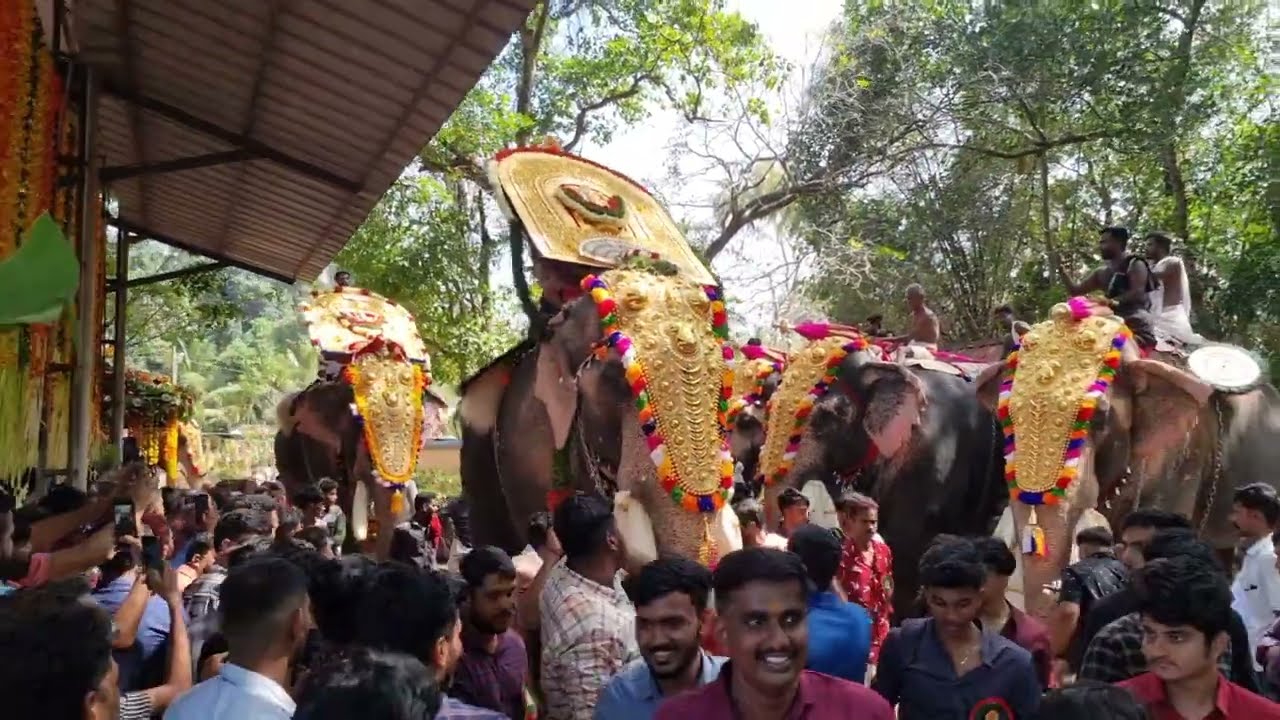Elephants taking thidampu @ Arangottukara mullakkal thalapoli 2022