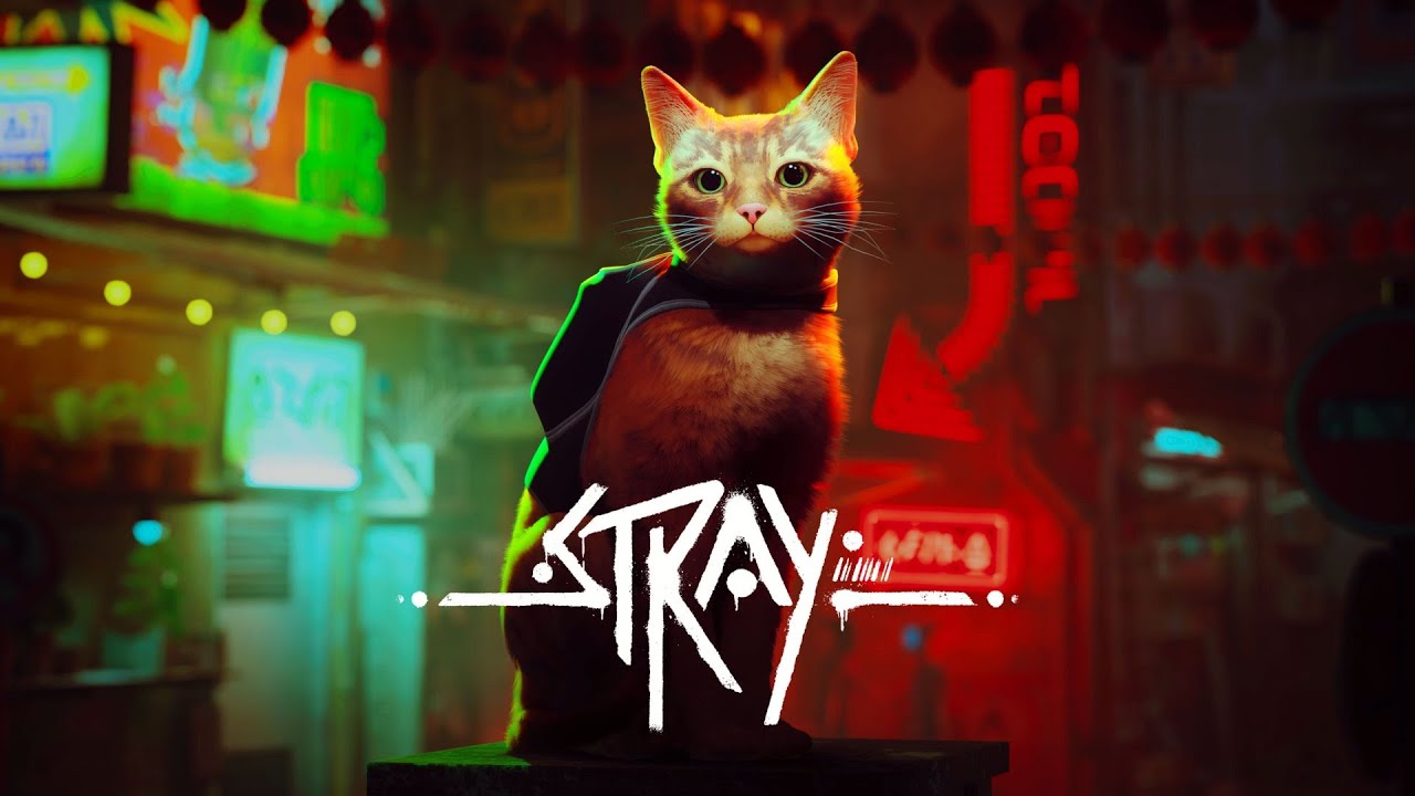 حل الغاز \ لعبة القطة \ stray