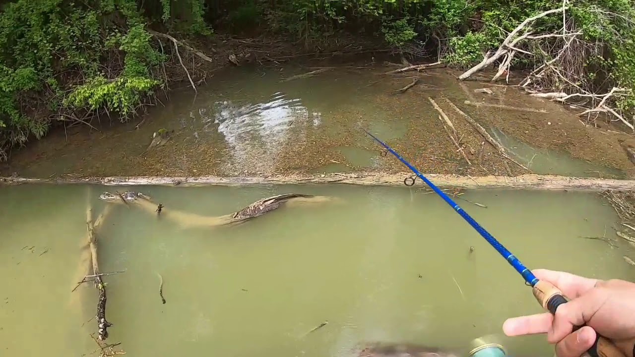 Brookville Lake Crappie Fishing